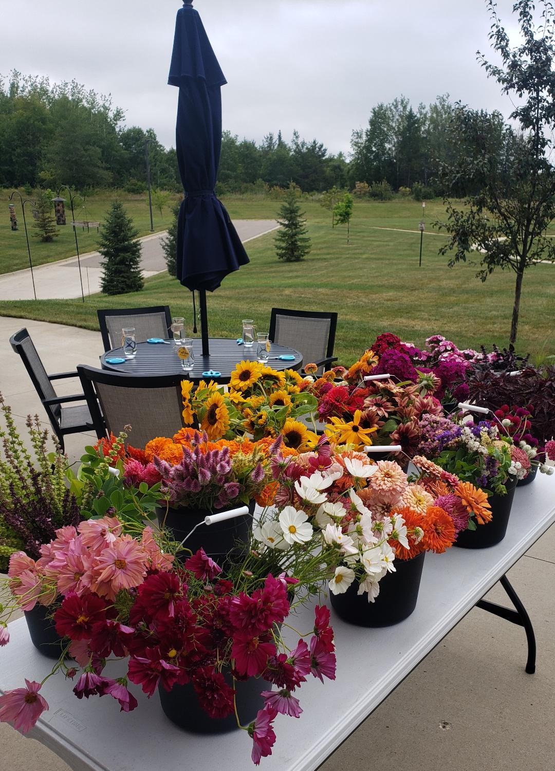 Nursing Home Sponsorships