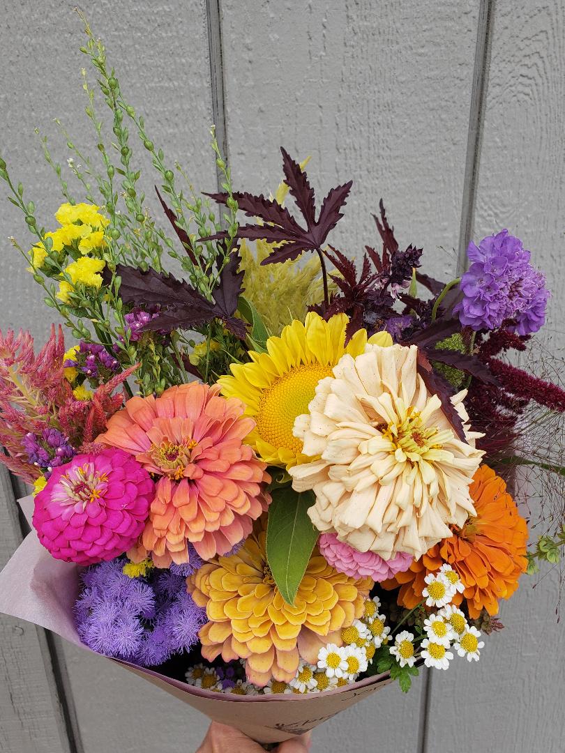 5 Week Seasonal Bouquet Subscription