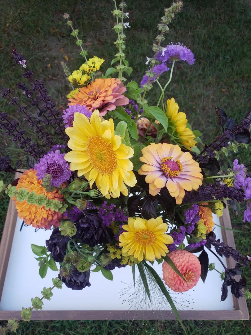 5 Week Seasonal Bouquet Subscription